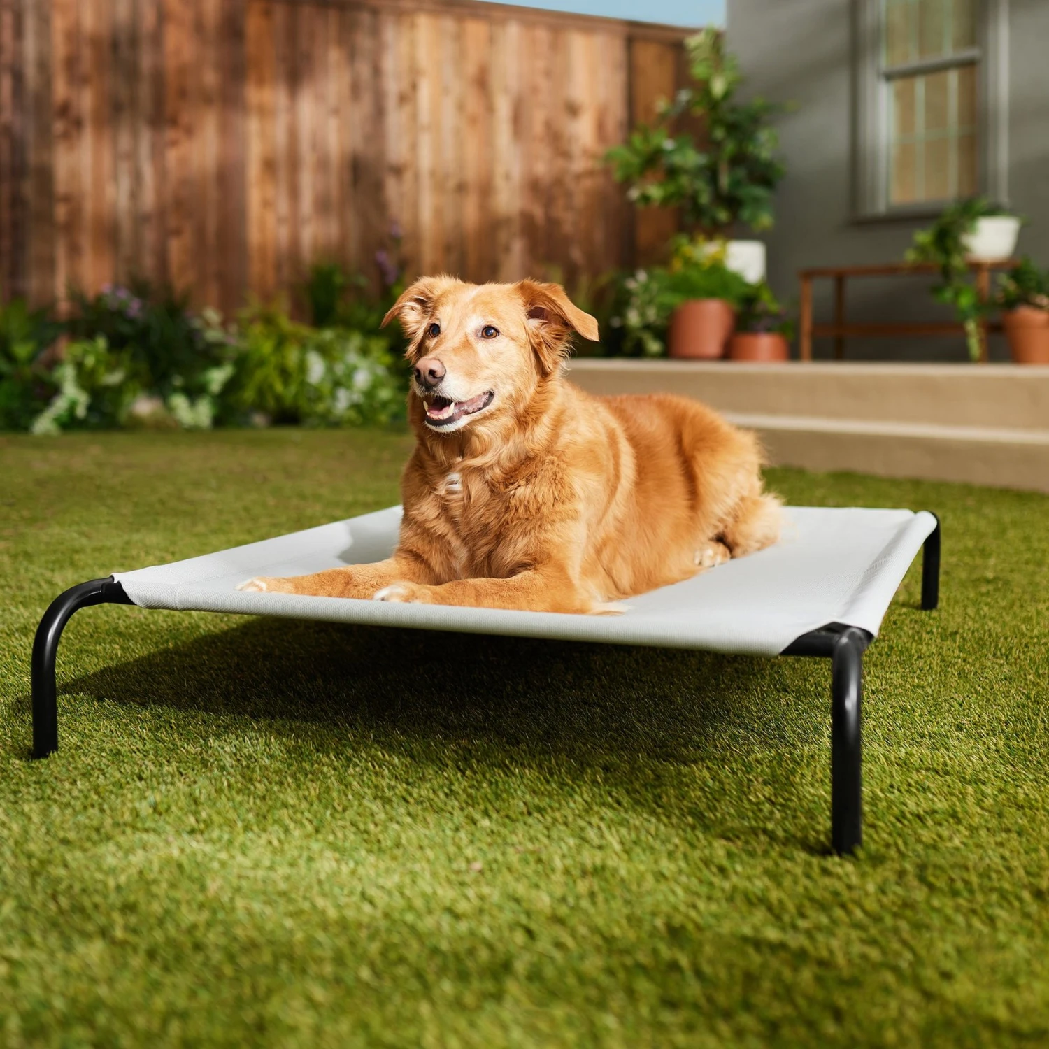 Frisco Steel-Framed Elevated Dog Bed 1 Frisco Steel-Framed Elevated Dog Bed