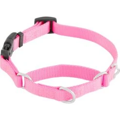 Frisco Solid Nylon Martingale Dog Collar With Buckle