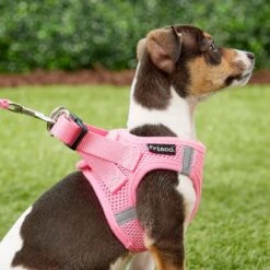 Frisco Small Breed Soft Vest Step In Back Clip Dog Harness -Frisco 139821 PT5. AC SS1800 V1561573781
