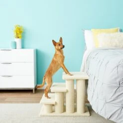 Frisco 18.5 Or 24.5 Inch 2-in-1 Cat & Dog Stairs -Frisco 140154 PT6. AC SS1800 V1584453442