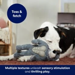 Frisco Wolf Muscle Plush Squeaky Dog Toy 10 Frisco Wolf Muscle Plush Squeaky Dog Toy -Frisco 147082 PT5. AC SS1800 V1691776574