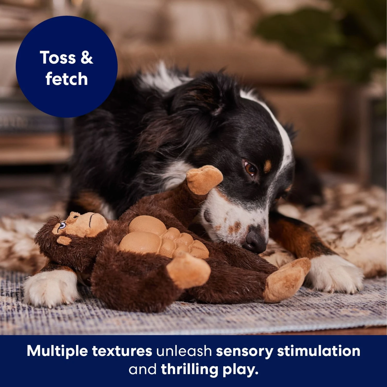 Frisco Gorilla Muscle Plush Squeaky Dog Toy 5 Frisco Gorilla Muscle Plush Squeaky Dog Toy - Image 5