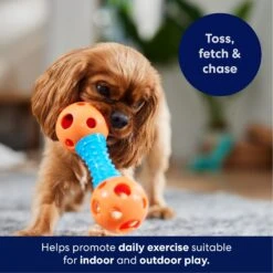 Frisco Dumbbell TPR Fetch Dog Toy 8 Frisco Dumbbell TPR Fetch Dog Toy -Frisco 147108 PT3. AC SS1800 V1695241969