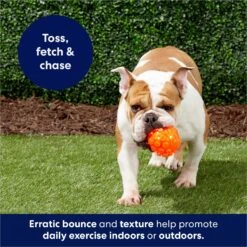 Frisco Fetch Squeaky TPR Ball Dog Toy -Frisco 152801 PT4. AC SS1800 V1686580091