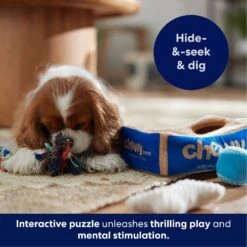 Frisco Chewy Box Hide & Seek Puzzle Plush Squeaky Dog Toy -Frisco 152808 PT5. AC SS1800 V1695670752