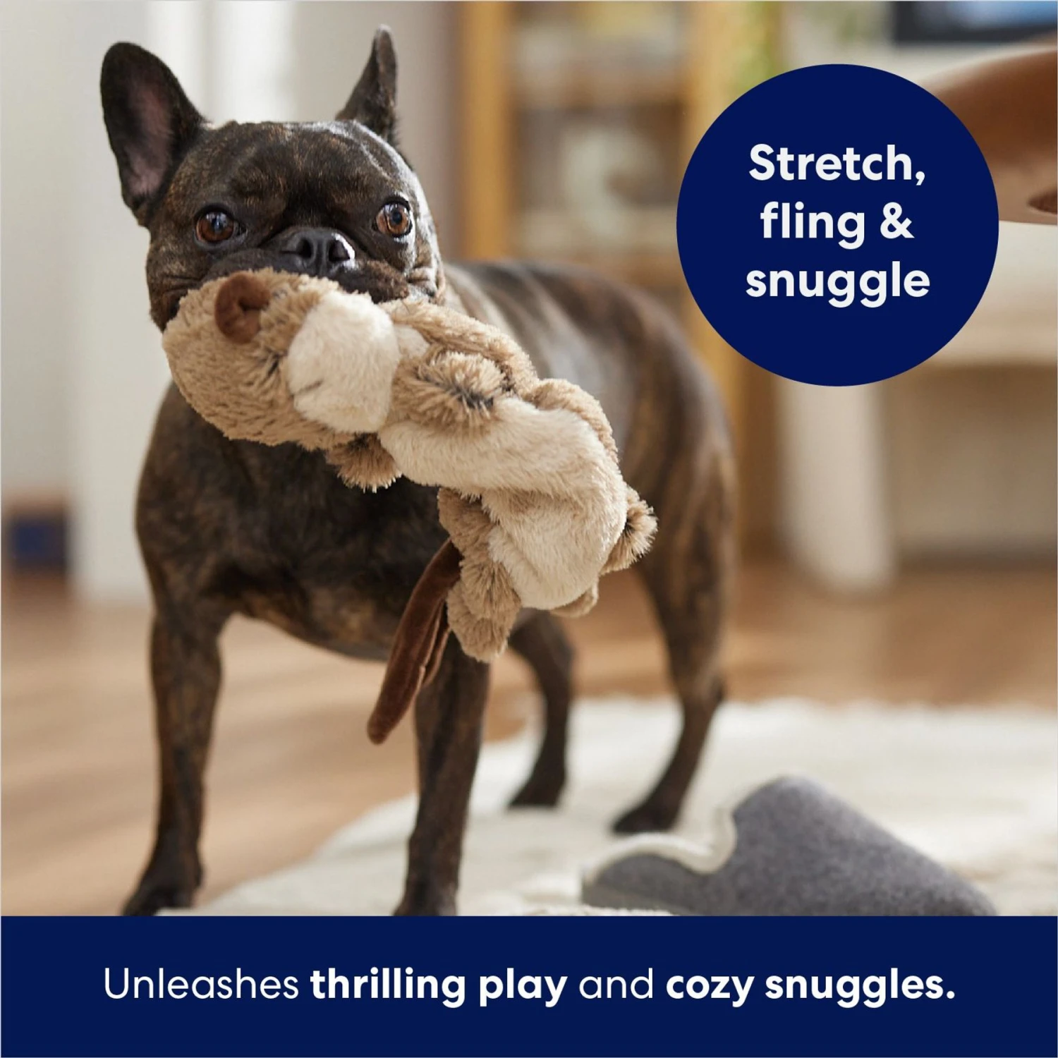 Frisco Beaver Bungee Plush Squeaky Dog Toy 5 Frisco Beaver Bungee Plush Squeaky Dog Toy - Image 5