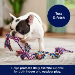 Frisco Rope Multipack Dog Toy 6 Frisco Rope Multipack Dog Toy -Frisco 152838 PT2. AC SS1800 V1686579143