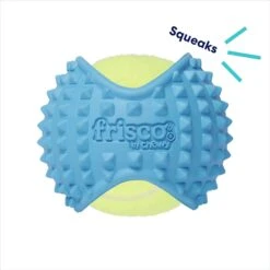 Frisco Fetch Squeaky Tennis Ball With Rubber Sleeve Dog Toy 9 Frisco Fetch Squeaky Tennis Ball With Rubber Sleeve Dog Toy -Frisco 152844 PT2. AC SS1800 V1691776695