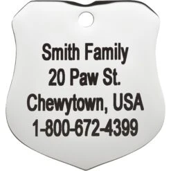 Frisco Stainless Steel Personalized Dog & Cat ID Tag, Badge -Frisco 153009 PT3. AC SS1800 V1548964788