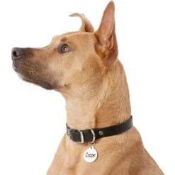 Frisco Personalized Dog & Cat Tag, Round 12 Frisco Personalized Dog & Cat Tag, Round -Frisco 153015 PT5. AC SS1800 V1540562586