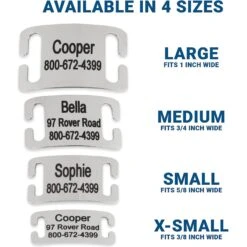 Frisco Stainless Steel Slide-On Personalized Dog & Cat Tag, Open Design 8 Frisco Stainless Steel Slide-On Personalized Dog & Cat Tag, Open Design -Frisco 153050 PT3. AC SS1800 V1644013293