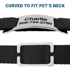 Frisco Stainless Steel Slide-On Personalized Dog & Cat Tag, Open Design 9 Frisco Stainless Steel Slide-On Personalized Dog & Cat Tag, Open Design -Frisco 153050 PT4. AC SS1800 V1644016599