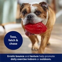 Frisco Football TPR Squeaky Dog Toy -Frisco 154412 PT3. AC SS1800 V1686578718