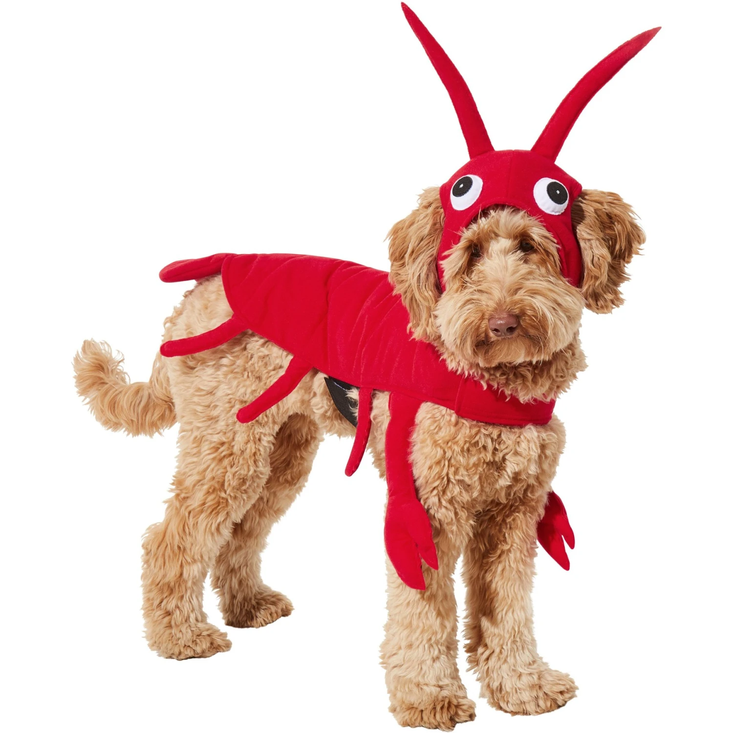 Frisco Red Lobster Dog & Cat Costume 3 Frisco Red Lobster Dog & Cat Costume - Image 3