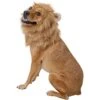 Frisco Lion Mane Dog & Cat Costume