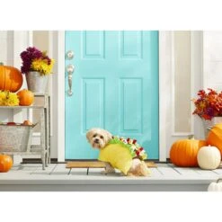 Frisco Taco Dog & Cat Costume -Frisco 158826 PT3. AC SS1800 V1567175798