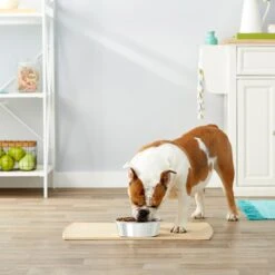 Frisco Stainless Steel Dog & Cat Bowl -Frisco 159867 PT3. AC SS1800 V1570543097