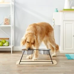Frisco Pyramid Elevated Stainless Steel Double Diner Dog & Cat Bowl 7 Frisco Pyramid Elevated Stainless Steel Double Diner Dog & Cat Bowl -Frisco 159884 PT3. AC SS1800 V1561123346