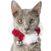 Frisco Jingle Bells Dog & Cat Holiday Collar With Bells, 1 Count