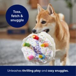 Frisco Birthday Cake Plush Squeaky Dog Toy 10 Frisco Birthday Cake Plush Squeaky Dog Toy -Frisco 162839 PT4. AC SS1800 V1695671061