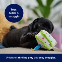 Frisco Birthday Cake Slice Plush Squeaky Dog Toy 10 Frisco Birthday Cake Slice Plush Squeaky Dog Toy -Frisco 162906 PT4. AC SS1800 V1695671059