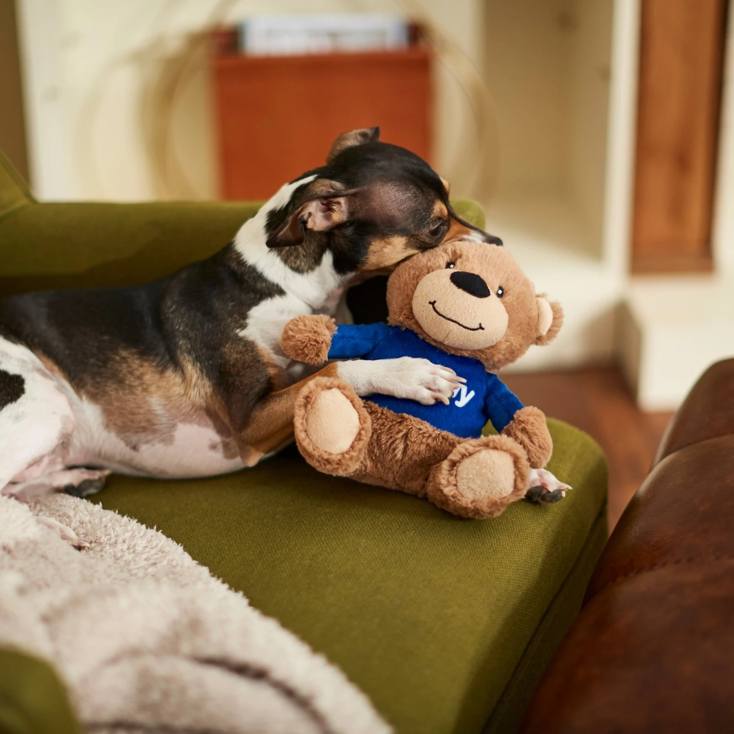 Frisco Chewy Bear Plush Squeaky Dog Toy 3 Frisco Chewy Bear Plush Squeaky Dog Toy - Image 3