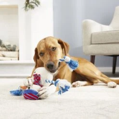 Frisco Holiday Snowman Plush With Rope Squeaky Dog Toy -Frisco 164645 PT2. AC SS1800 V1568910233