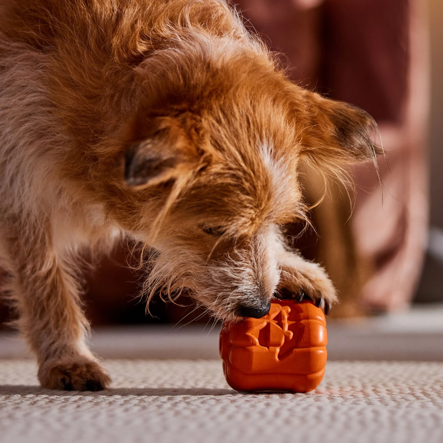 Frisco Halloween Pumpkin Rubber Treat Dispenser Dog Toy, Medium/Large 6 Frisco Halloween Pumpkin Rubber Treat Dispenser Dog Toy, Medium/Large - Image 6