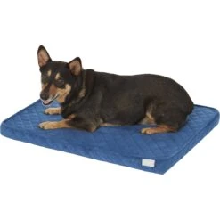 Frisco Quilted Orthopedic Pillow Cat & Dog Bed W/Removable Cover -Frisco 165196 PT2. AC SS1800 V1568726226
