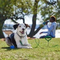 Frisco Easy Grip Stake With Tie Out Cable, Large 10 Frisco Easy Grip Stake With Tie Out Cable, Large -Frisco 166447 PT5. AC SS1800 V1701796826