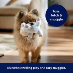 Frisco Lamb Plush Squeaky Dog Toy -Frisco 174686 PT4. AC SS1800 V1695659156