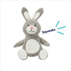 Frisco Bunny Textured Plush Squeaky Dog Toy 8 Frisco Bunny Textured Plush Squeaky Dog Toy -Frisco 174693 PT2. AC SS1800 V1695670750