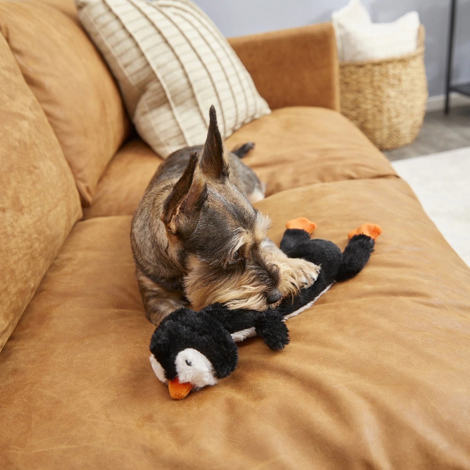 Frisco Penguin Skinny Plush Squeaky Dog Toy 3 Frisco Penguin Skinny Plush Squeaky Dog Toy - Image 3