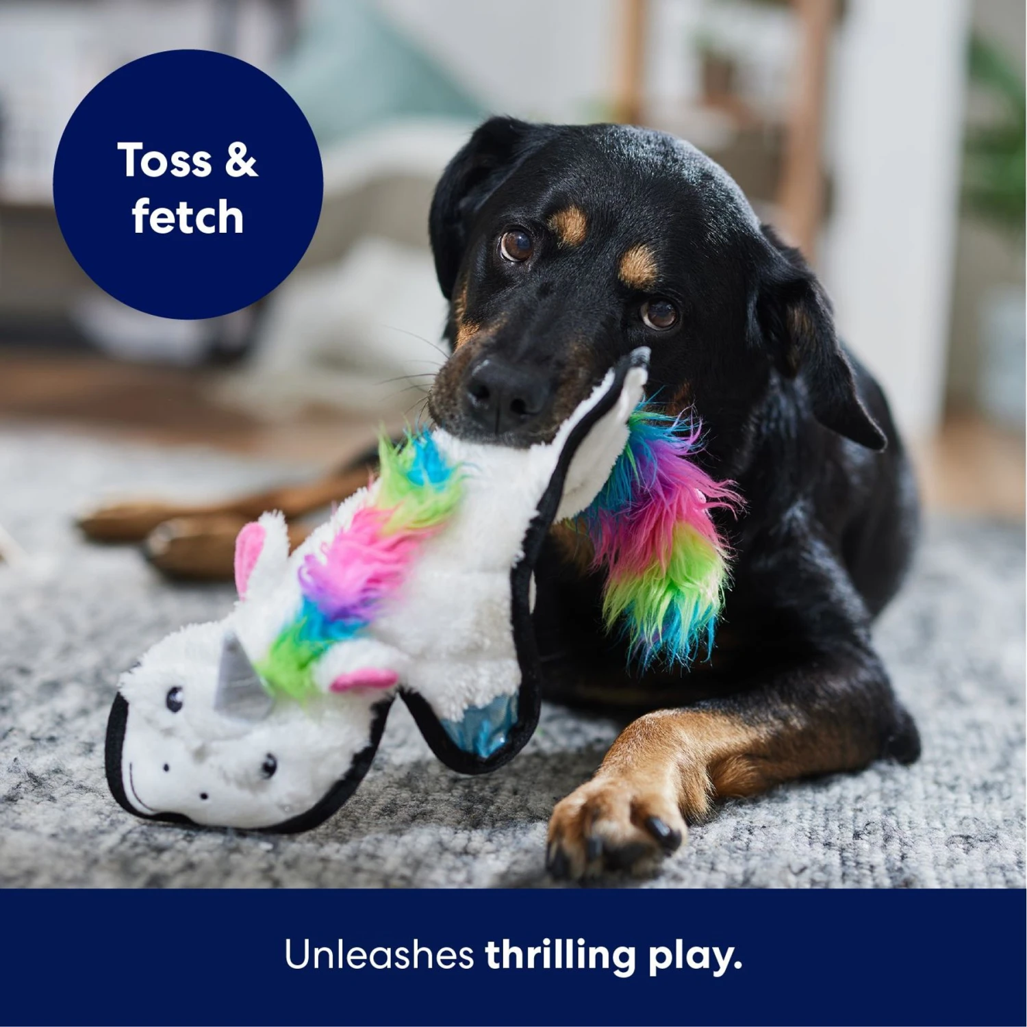 Frisco Unicorn Stuffing-Free Flat Plush Squeaky Dog Toy 5 Frisco Unicorn Stuffing-Free Flat Plush Squeaky Dog Toy - Image 5