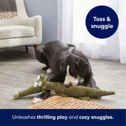 Frisco Triceratops Wagazoo Plush Squeaky Dog Toy -Frisco 174747 PT4. AC SS1800 V1695748419