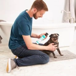 Frisco Aloe Hydrating Dog & Cat Spray, Sweet Nectar Scent -Frisco 192084 PT3. AC SS1800 V1585321073