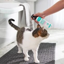 Frisco Aloe Hydrating Dog & Cat Spray, Sweet Nectar Scent -Frisco 192084 PT4. AC SS1800 V1589487682