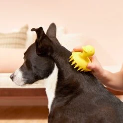 Frisco Rubber Duckie Dog & Cat Curry Brush -Frisco 206849 PT4. AC SS1800 V1680186100