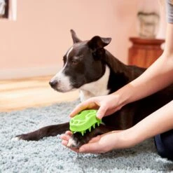 Frisco Bone Dog Curry Brush -Frisco 206851 PT4. AC SS1800 V1680186155