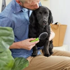 Frisco Cat & Dog Combo Brush, Mini 7 Frisco Cat & Dog Combo Brush, Mini -Frisco 206857 PT4. AC SS1800 V1680186386