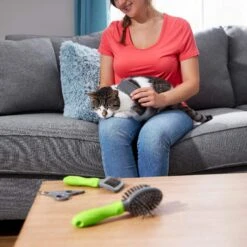 Frisco Beginner Grooming Kit For Dogs And Cats 15 Frisco Beginner Grooming Kit For Dogs And Cats -Frisco 206909 PT6. AC SS1800 V1680186162