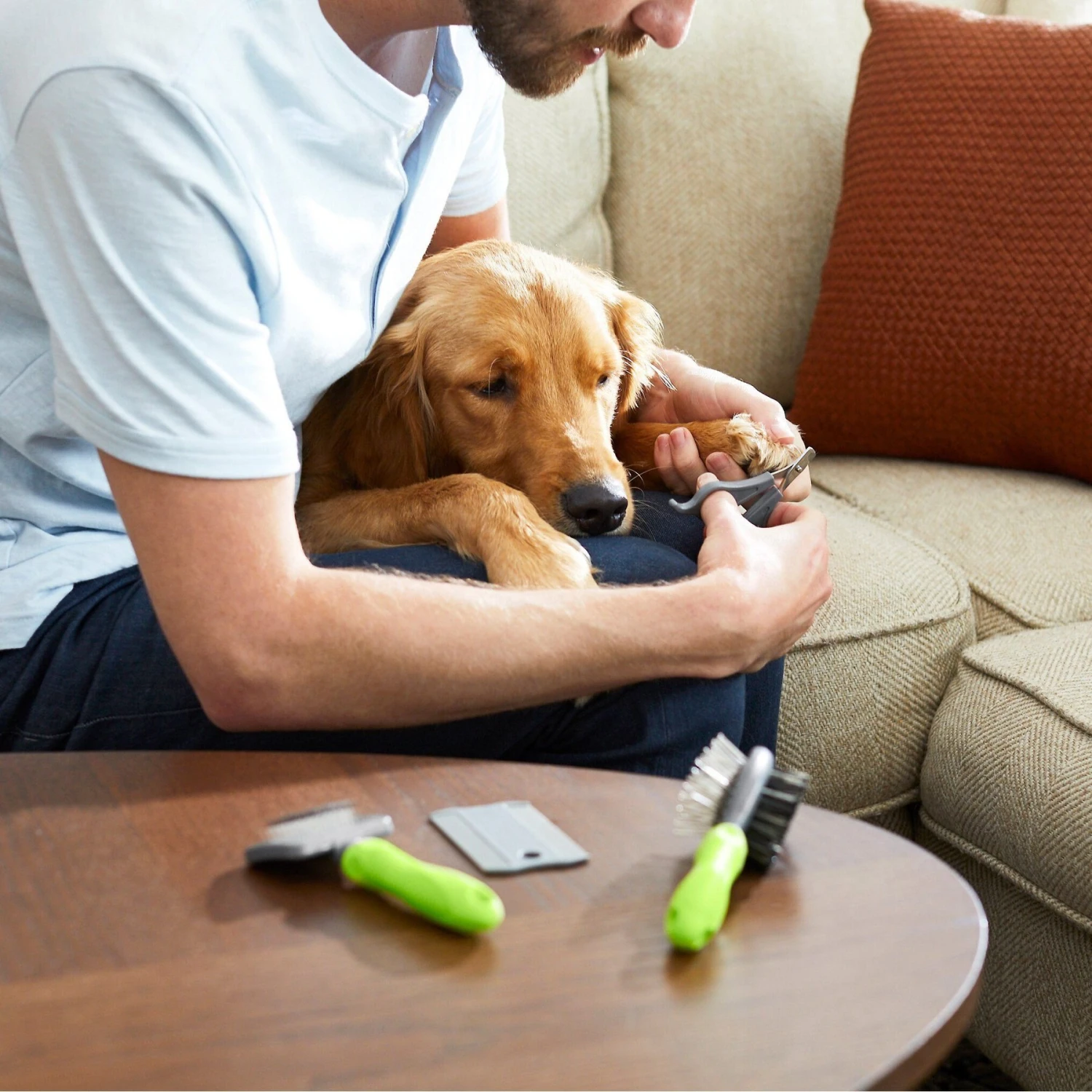 Frisco Beginner Grooming Kit For Dogs And Cats 8 Frisco Beginner Grooming Kit For Dogs And Cats - Image 8
