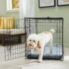 Frisco Fold & Carry Single Door Collapsible Wire Dog Crate & Mat Kit