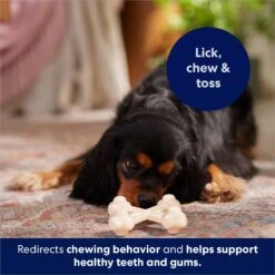 Frisco Chicken Flavor Tough Nylon Dog Chew Toy 10 Frisco Chicken Flavor Tough Nylon Dog Chew Toy -Frisco 213432 PT5. AC SS1800 V1691784031