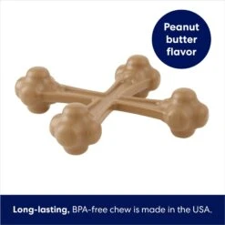 Frisco Peanut Butter Flavor Tough Nylon Dog Chew Toy -Frisco 213436 PT2. AC SS1800 V1692019767