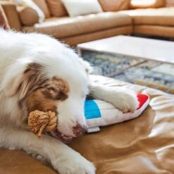 Frisco Summer Fun Plush & Rope Popsicle Dog Toy 5 Frisco Summer Fun Plush & Rope Popsicle Dog Toy -Frisco 214703 PT6. AC SS1800 V1597596505