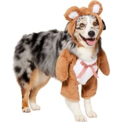 Frisco Front Walking Teddy Bear Dog & Cat Costume -Frisco 215507 PT3. AC SS1800 V1624402415