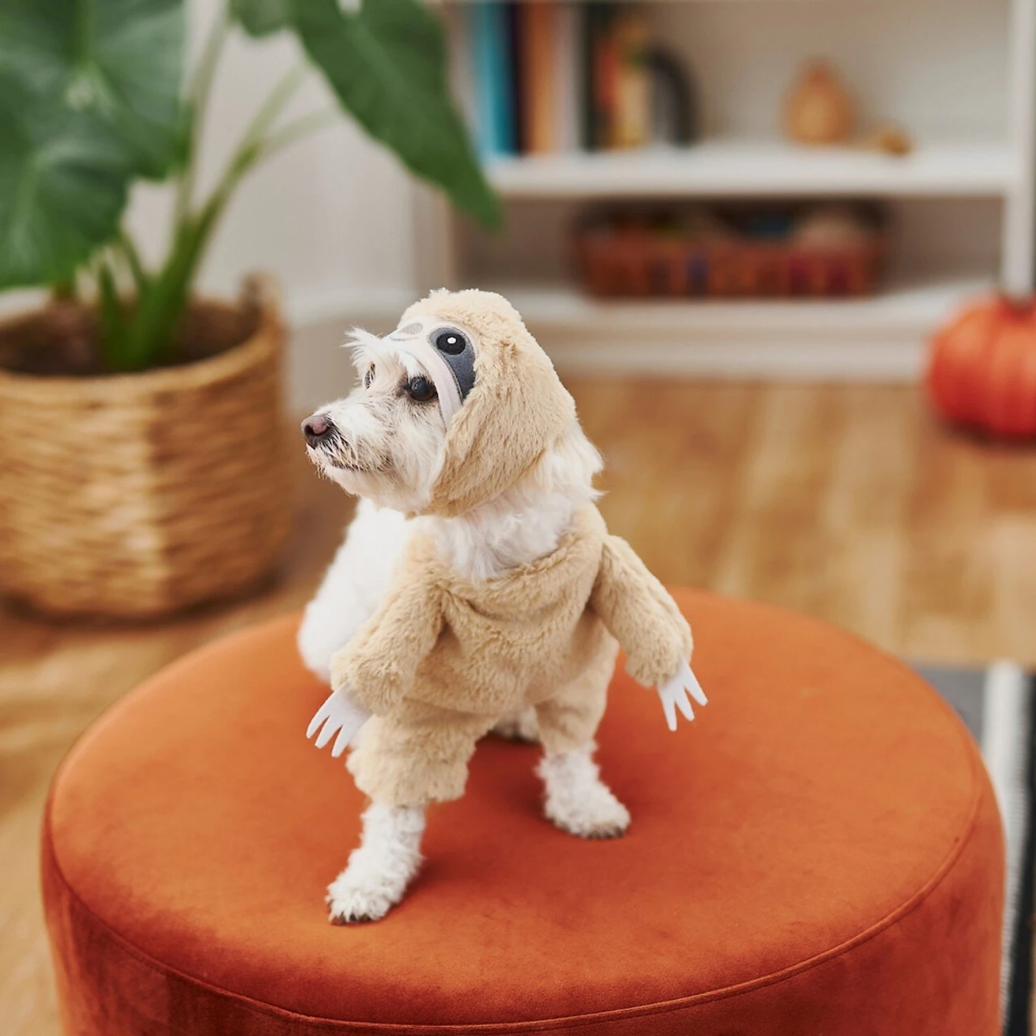 Frisco Front Walking Sloth Dog & Cat Costume 6 Frisco Front Walking Sloth Dog & Cat Costume - Image 6