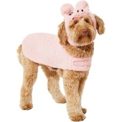 Frisco Pig Dog & Cat Costume