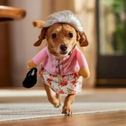 Frisco Front Walking Granny Dog & Cat Costume -Frisco 215577 PT8. AC SS1800 V1689621333